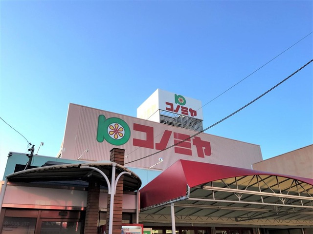の画像