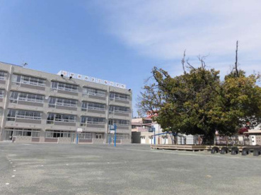 桜小学校の画像1