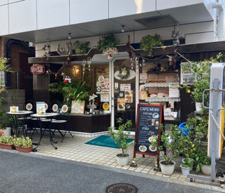 くりの樹の画像1