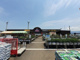 ひらせいホームセンター新井店（上越市大字寺町）の画像