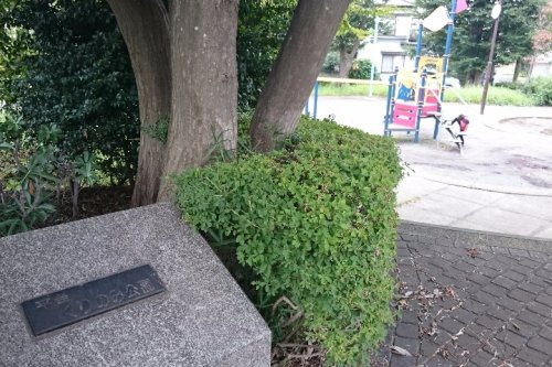 の画像