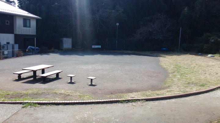 の画像