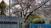 水桜小学校