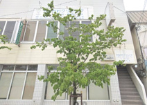 やながわクリニック