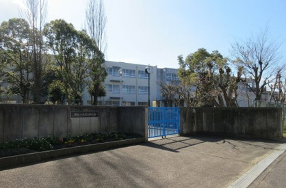 庭代台中学校の画像1