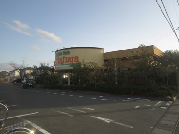 タルタルーガ有玉北店の画像1
