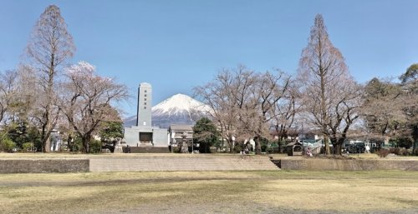 城山公園運動場の画像1