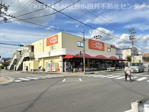 の画像