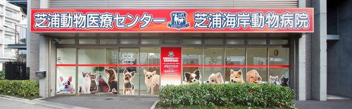 の画像