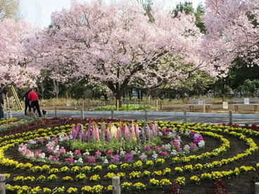 都立蘆花恒春園の画像1