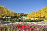 昭和記念公園
