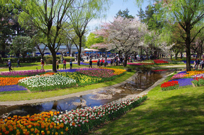 昭和記念公園の画像2