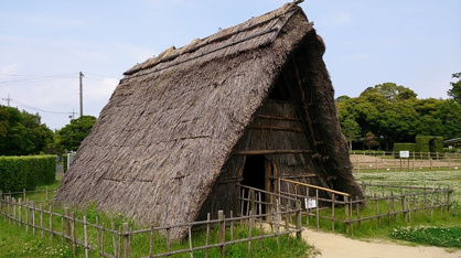 蜆塚遺跡の画像3
