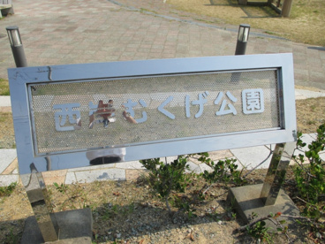 西岸むくげ公園の画像1