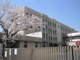 高松市立中央小学校の画像