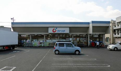 カワチ薬品 千波店の画像1