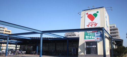 の画像