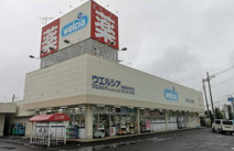 ドラッグストア ウエルシア坂東岩井本町店