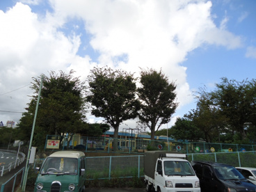 わかば保育園の画像2
