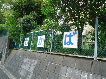 わかば保育園の画像3
