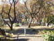 菊名桜山公園の画像