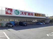 スギドラッグ大宮植竹店