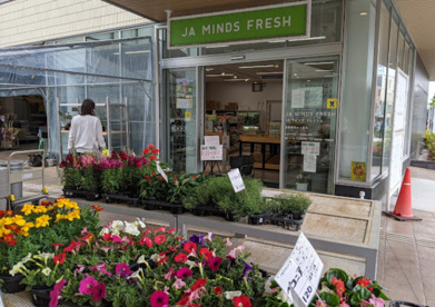 JAマインズ マインズショップ狛江店の画像1