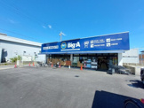 ビッグ・エー市川南大野店
