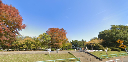 城北公園の画像1