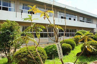 益子町立 七井小学校の画像1