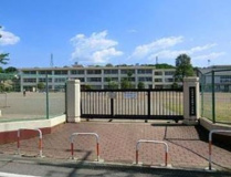 小学校 八王子市立第十小学校