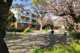 杉田公園の画像