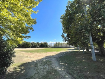 伏見公園野球場・運動場の画像1