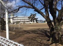 結城市立城南小学校
