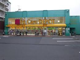 フィットケアデポ 国道店