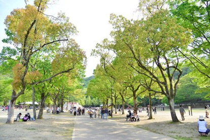 宝ヶ池公園子どもの楽園の画像1
