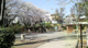 すみれが丘公園の画像