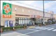 ライフ中野新井店の画像1