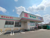 ドラッグセイムス 見沼新堤店