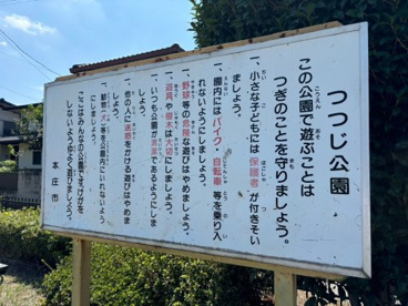つつじ公園の画像1