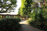 北新宿公園