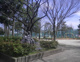 入谷中央公園の画像