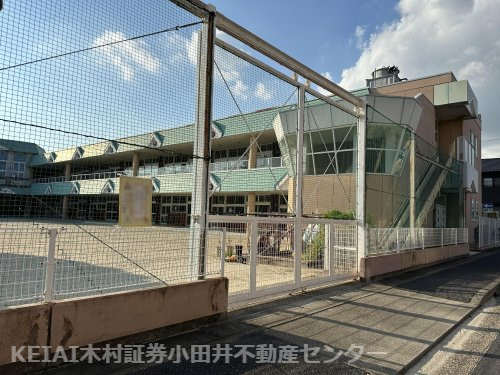 の画像