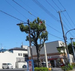 セブンイレブン江戸川興宮の画像1