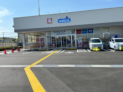 の画像