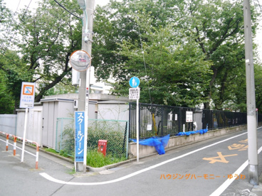 豊島区立 さくら小学校の画像3