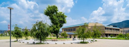 キセラ川西せせらぎ公園の画像2
