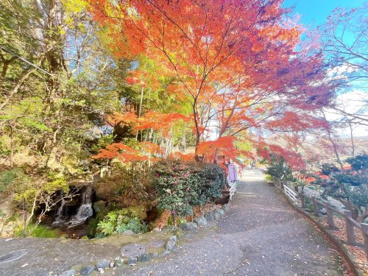 裾野市中央公園の画像2