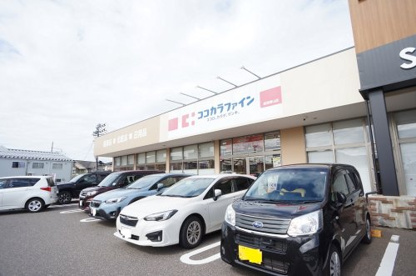 ココカラファイン 新潟青山店の画像1