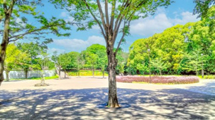 東京都立練馬城址公園の画像
